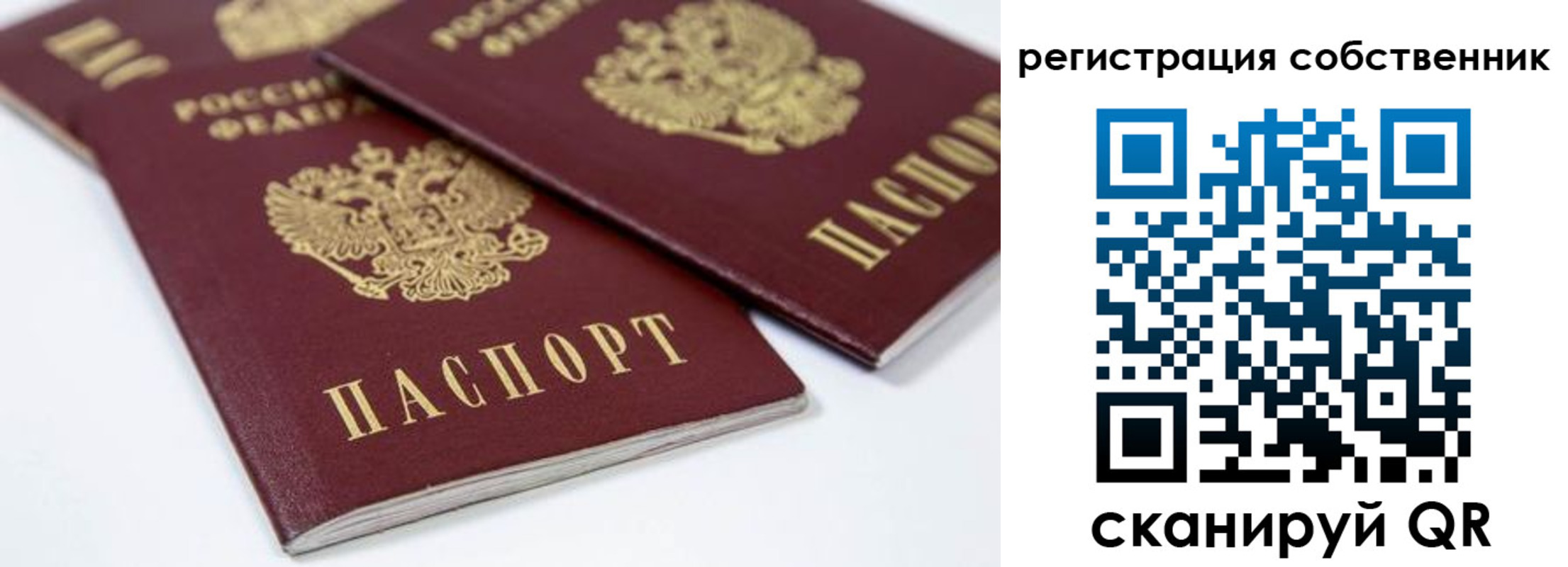 прописка для школы в Смоленской области